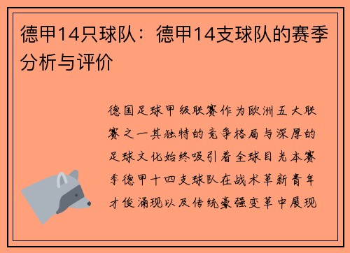 德甲14只球队：德甲14支球队的赛季分析与评价